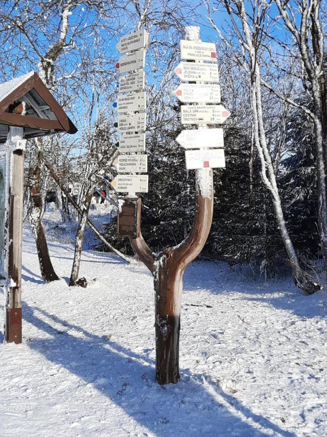 Apartman S Vyhlidkou Horní Maršov Eksteriør bilde